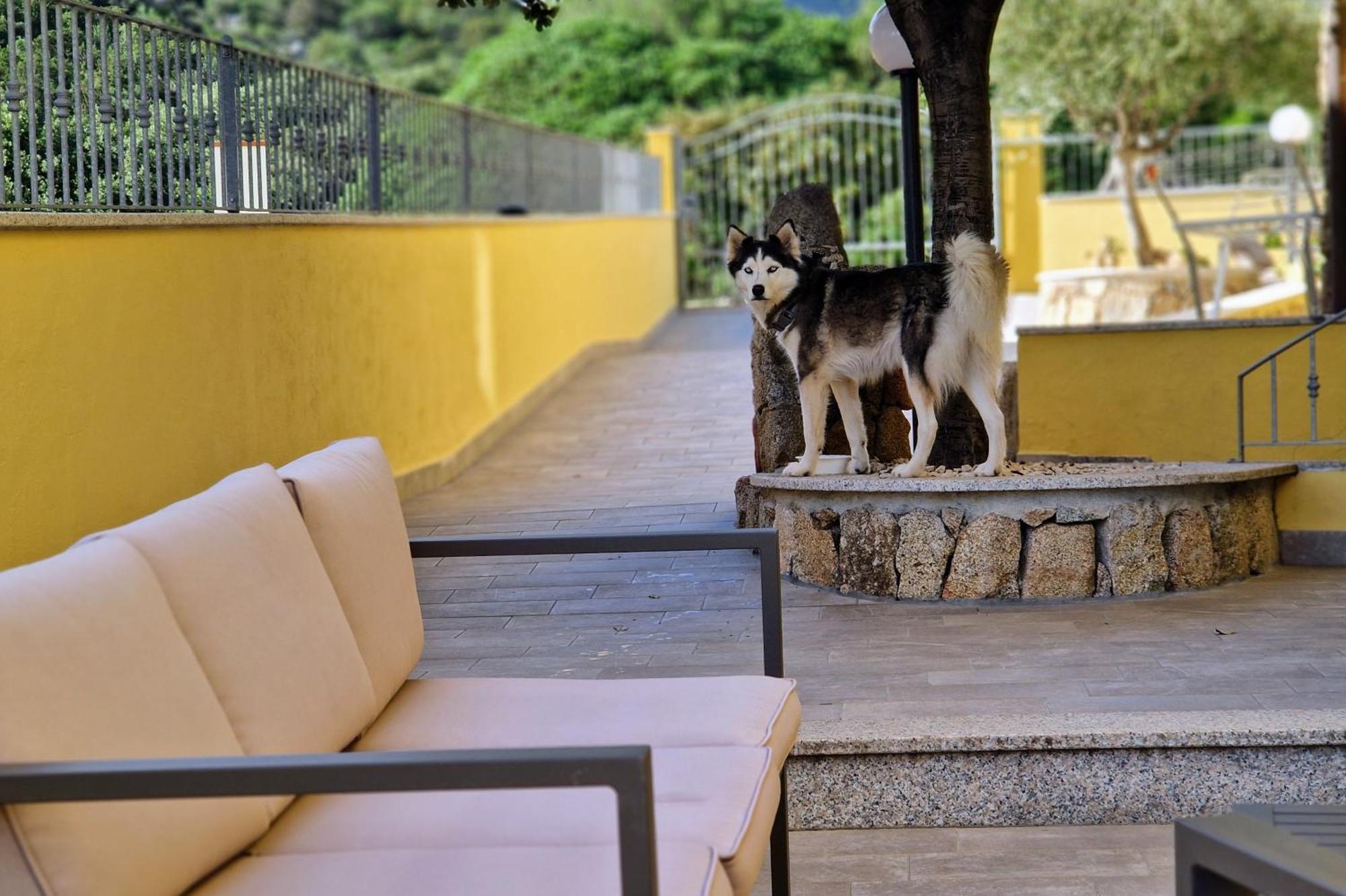 Sa Mamma E Sole B&B Cala Gonone Exterior foto